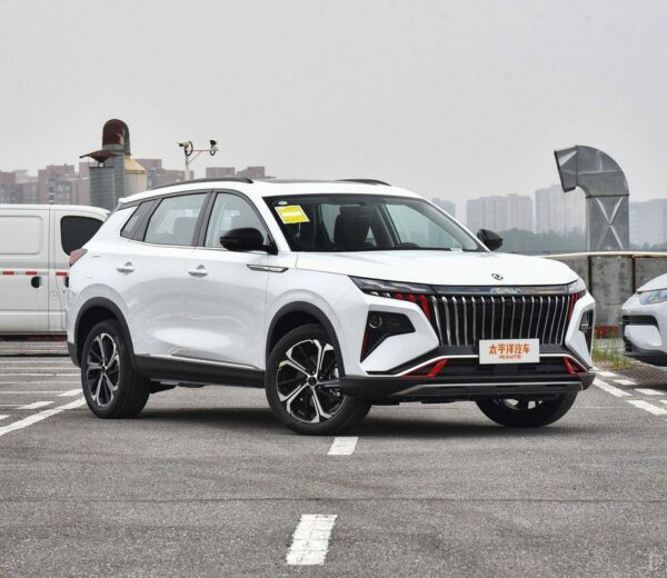 DongFeng Aeolus Huge 2024  Premium Edition