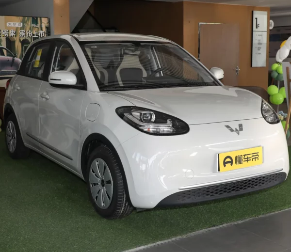 Wuling Binguo 2023 Express Edition