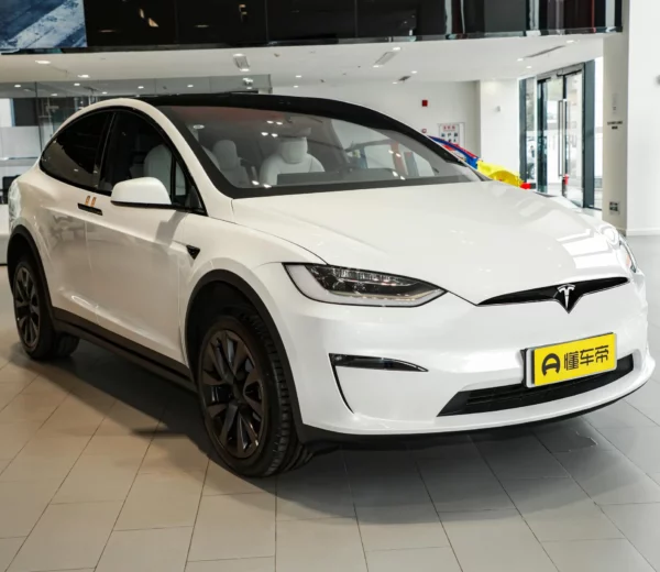 Tesla Model X 2024 Dual Motor