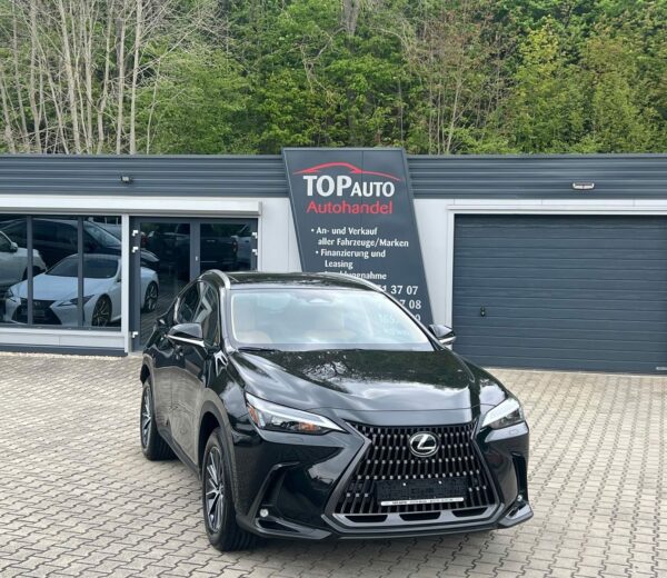 Lexus NX 350 2024