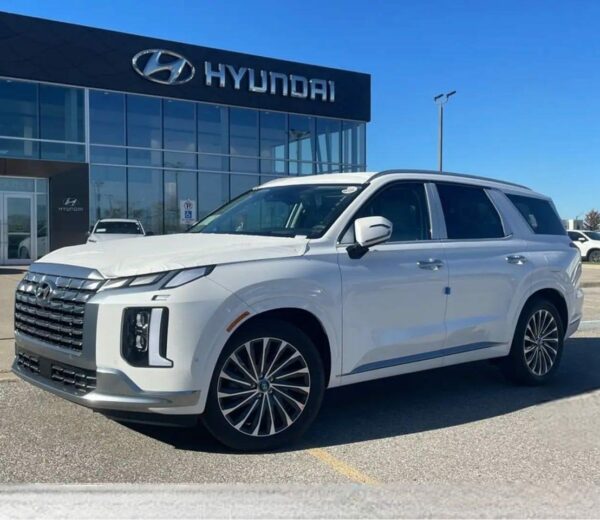 Hyundai Palisade 2024