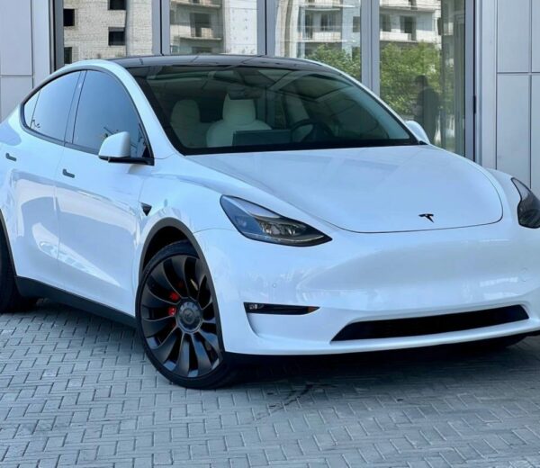 Tesla MODEL Y 2021 Performance