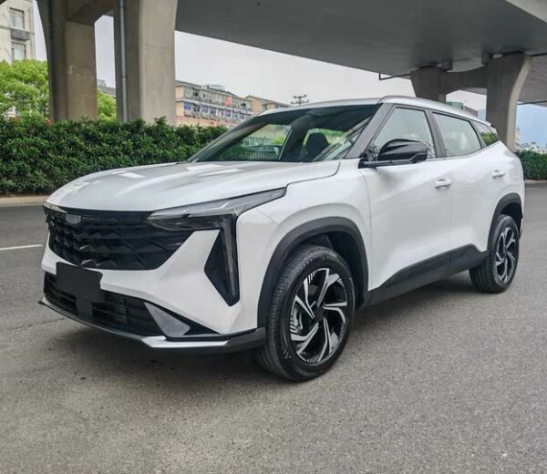 Geely Boyue Cool, 2025