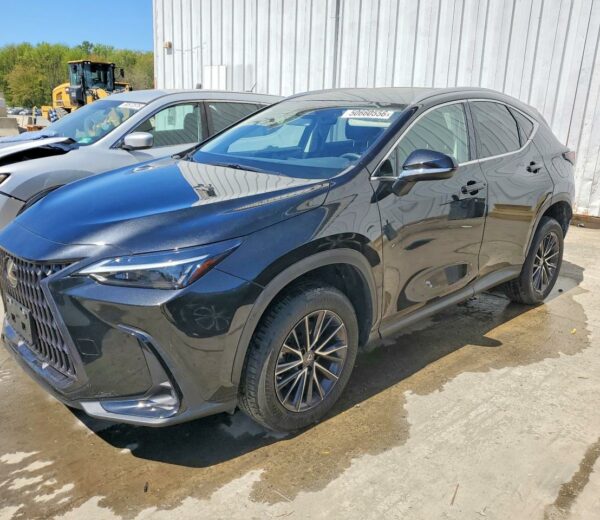 Lexus NX350 2022