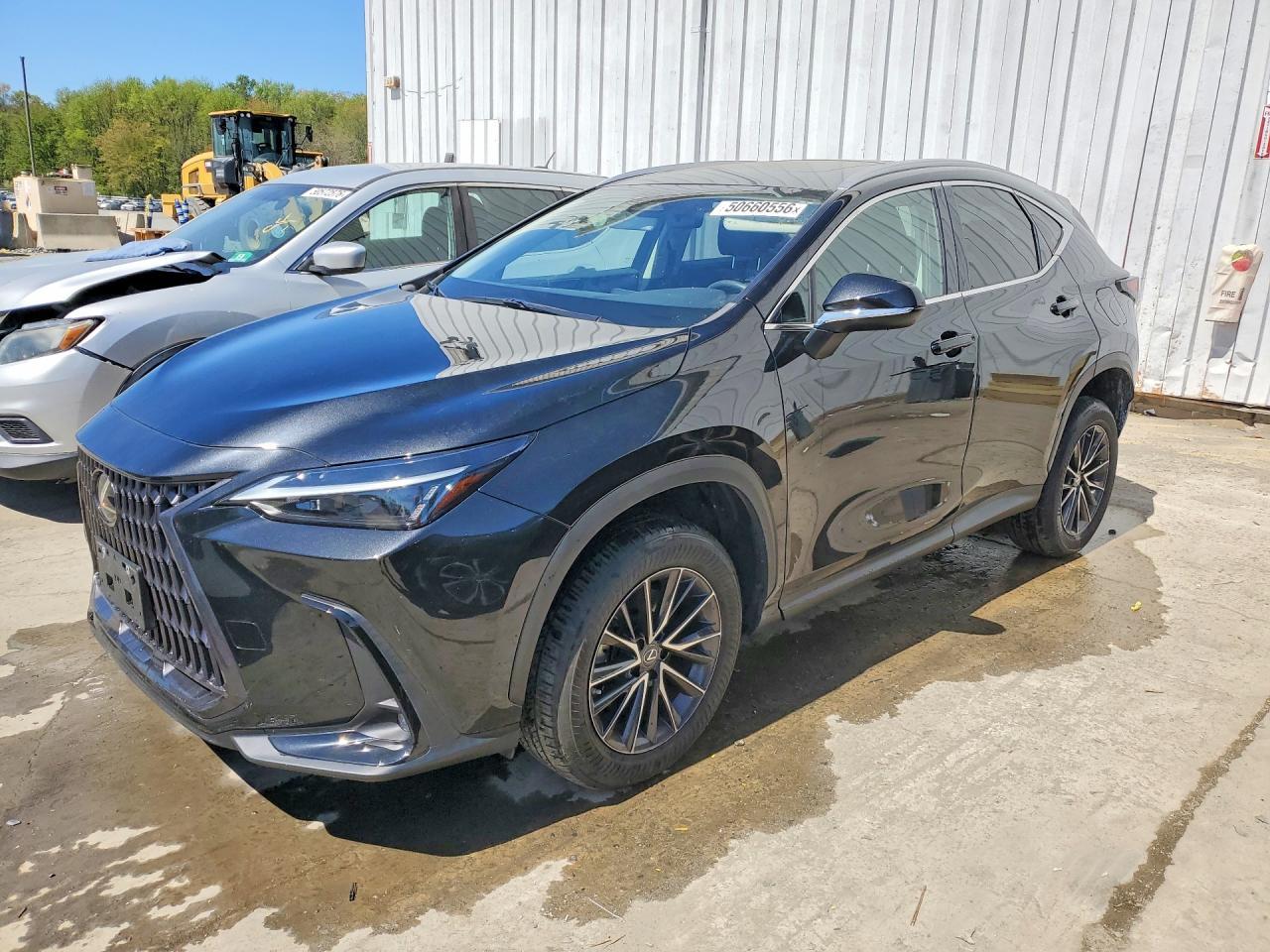Lexus NX350 2022
